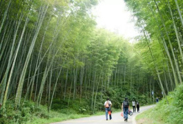 廣州溪頭村純玩1日竹林徒步，擁抱大自然