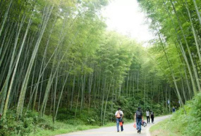 廣州溪頭村純玩1日竹林徒步，擁抱大自然