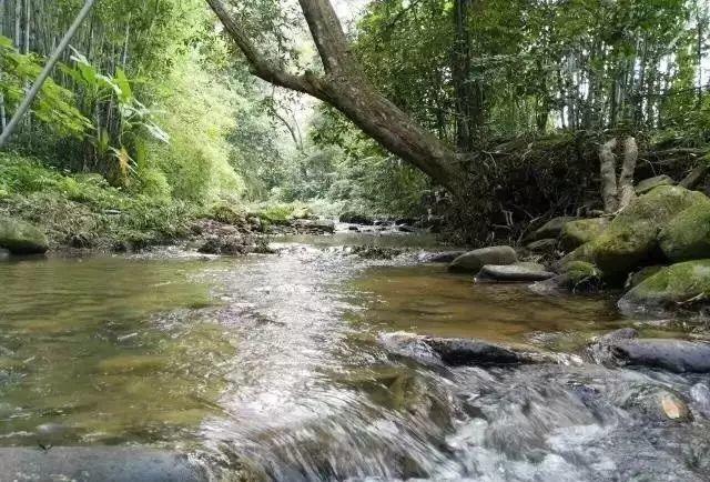 【龍門十三湯】到林豐溫泉度假山莊靜下來，好好感受自然，享受溫泉度假