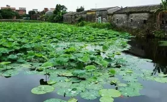 【最美陽江】陽西十大景點