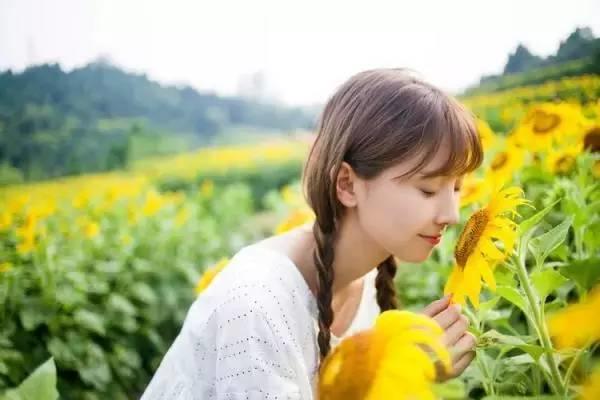 最后三天！廣州百萬葵園特惠套票6人僅199元，花海、熱帶雨林 、冰爽水世界通玩！