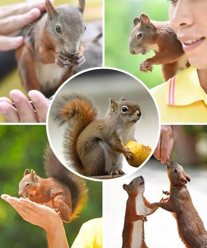 最后三天！廣州百萬葵園特惠套票6人僅199元，花海、熱帶雨林 、冰爽水世界通玩！