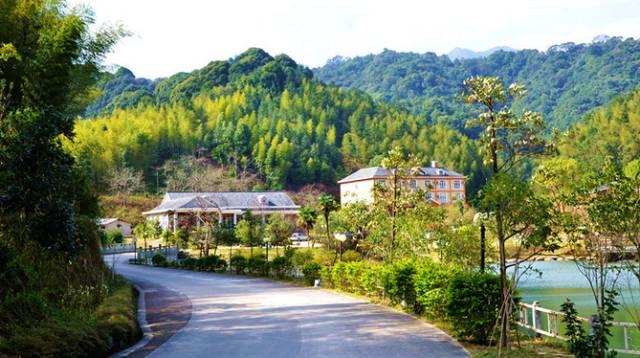 南昆山 | 柏祥森林度假酒店~遠離城市喧囂、享寧靜的生活！低至399元起，升級豪華別墅加200元/間！