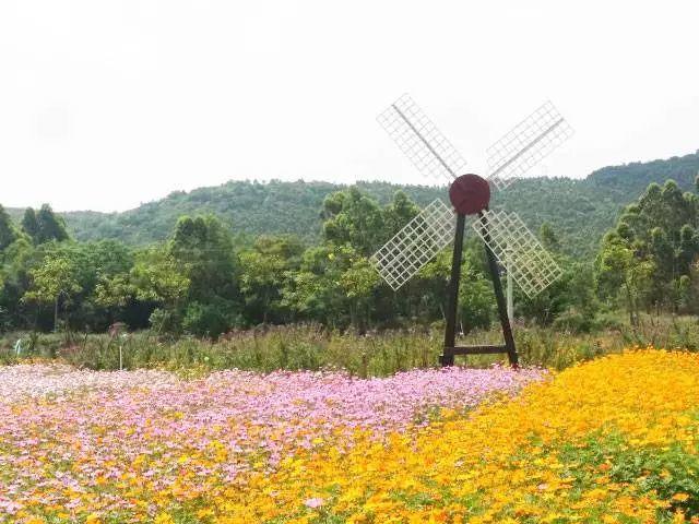 廣東海陵島保利臨海度假別墅~豪華精裝修，免費麻將任打，廚房樣樣齊全~近十里銀灘