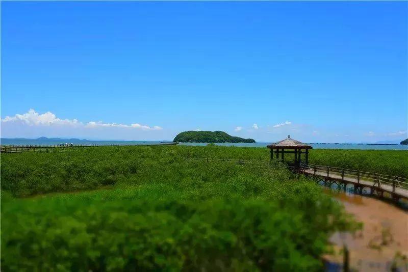 海陵島北洛秘境度假酒店 · 暢享30層高無邊際泳池！