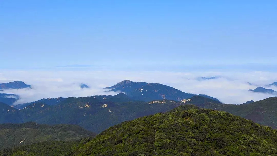 【韶關·南嶺】藍山源嶺南東方溫泉酒店,468元起/套丨高級山(9月)特價