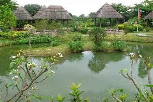 廣東茂名御水古溫泉度假村自由行套餐