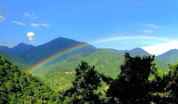 南昆山 | 柏祥森林度假酒店~遠離城市喧囂、享寧靜的生活！低至399元起，升級豪華別墅加200元/間！